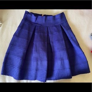 Blue Skirt from Francesca’s - Medium